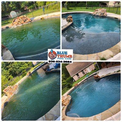 Another Happy Blue Thumb Pool Care Customer