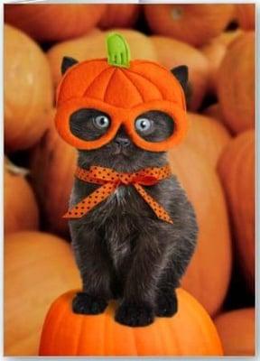 HALLOWEEN COSTUME CONTEST: Email us your pet's photo at animalhospitalofhallandale@gmail.com. Winner gets 1 free office visit, til 11-30-15.