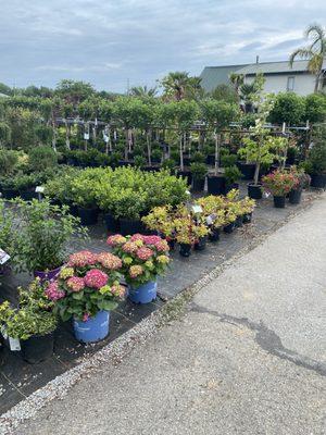 Berl Williams Landscaping & Nursery