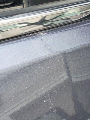 Crust bird poop on back passenger door