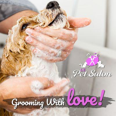 Le Pet Salon - Miami's best grooming salon