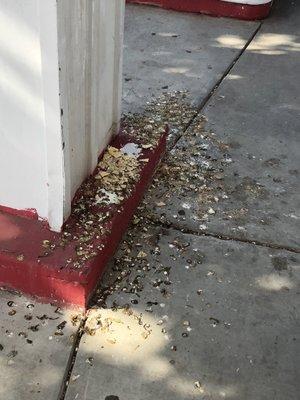 Power-wash, anyone? Really pretty gross to see near one of the pumps, but kudos to whomever left some munchies for the pigeons - I guess?