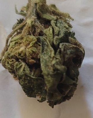 This is a piece of cannabis that has mold.  This molded half Oz. Bag was purchased. Give it to me that way.