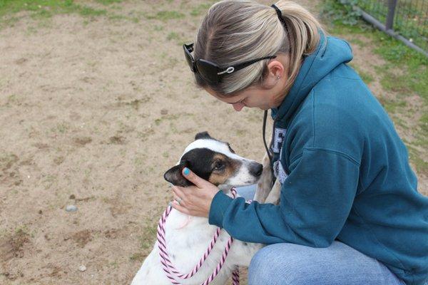 An ARF team member picking up a dog from a public shelter.