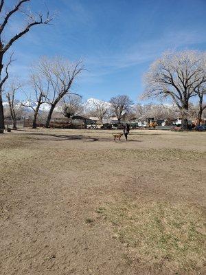 This is part of large dog pin.  We're playing fetch with one of the tennis balls. :)