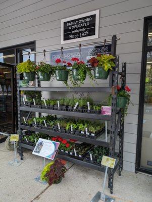 Locally sourced flowers and plants @ main entrance