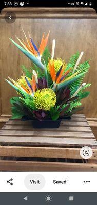 Bird of paradise and pincushion flower