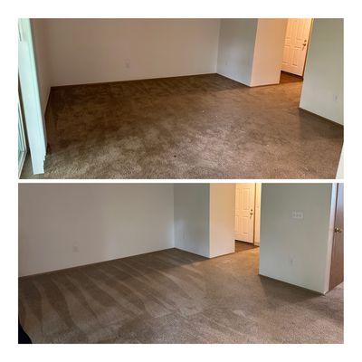 Move-in clean, carpets are refreshed and in much better shape