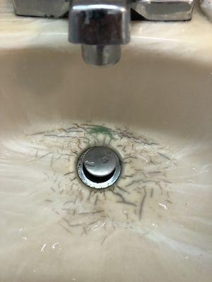 Nasty bathroom sink