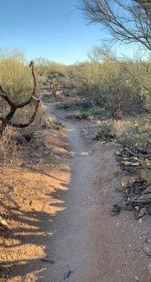 Linda vista trail