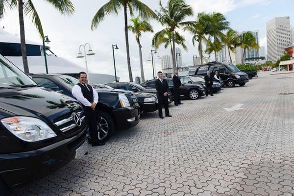 Miami's best drivers. Cata Executive Car Service