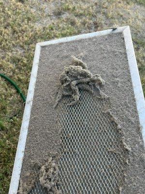 Make sure you clean your air filter