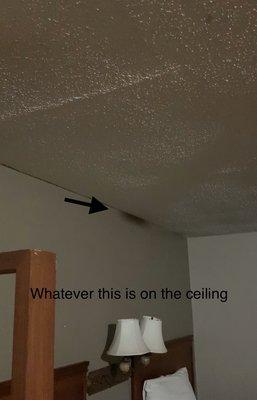 Spot on ceiling