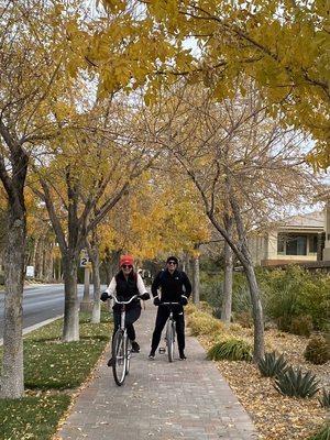 Bicycling past autumn trees without getting my hand covered in grease.