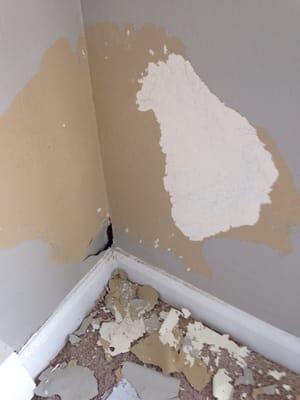 Wall repair