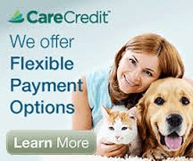 We accept Care Credit.  To apply, visit our website at www.churchville-vet.com.