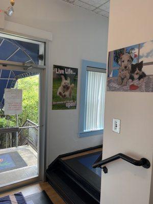 Malibu Pet Hotel