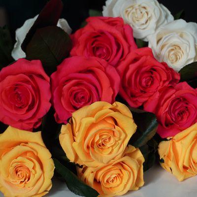 wholesale roses are ready - email Kendall.long@empressfloral.com