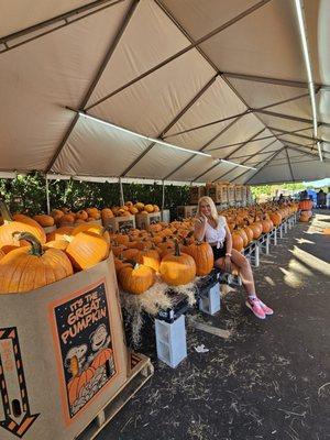 Tons of pumpkins