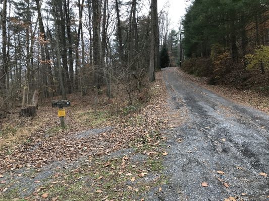 Mount Holly Marsh Preserve