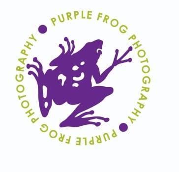 Purple Frog Photography