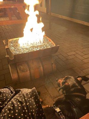 Dog-friendly patio with fire pits