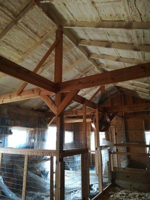 Spray foam insulation in barn ceiling