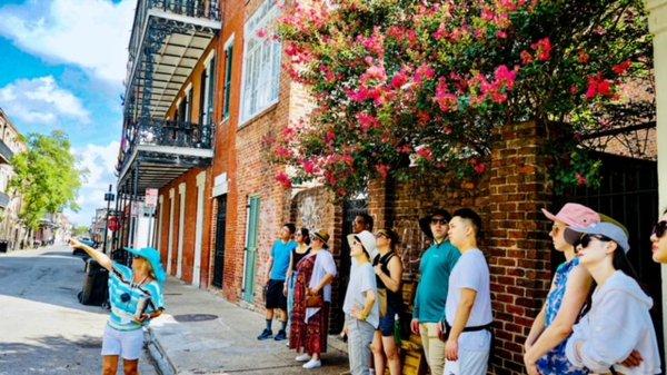 New Orleans Green Tour in the French Quarter.