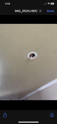 This is where a smoke alarm is supposed to be.