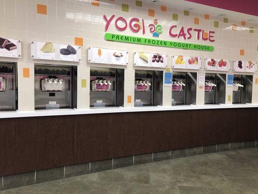 Frozen yogurt stations! Tons of options