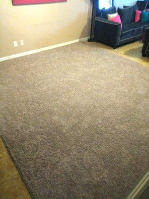 After! Beautiful soft carpet in color "Taupe Stone"