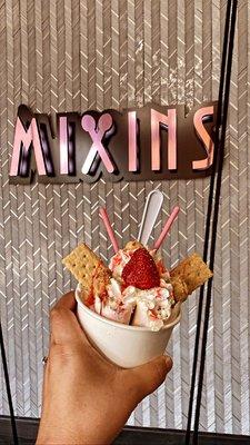 Mixins Rolled Ice Cream