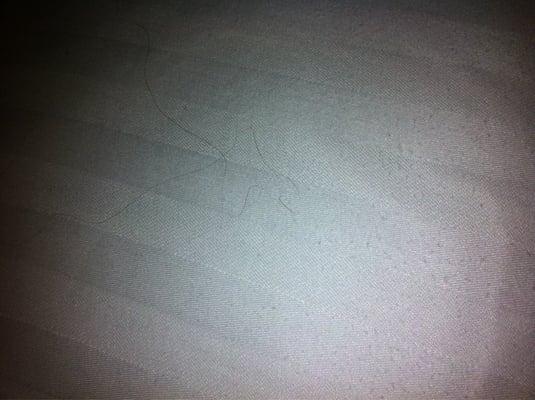 Hair all over pillow...ewwww!