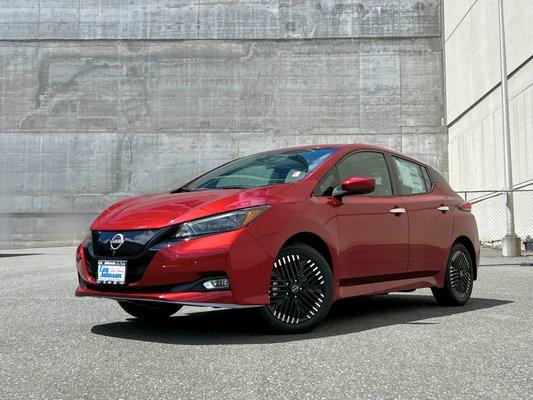 Nissan LEAF in Woodinville