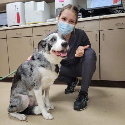 Angel is an experienced Veterinary Assistant who is ready to provide compassionate care and lots of cuddles to our patients.