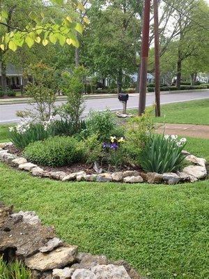 Plant bed ideas