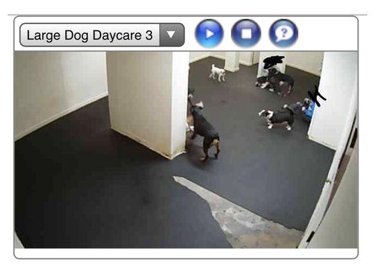 Large daycare room via their internet camera