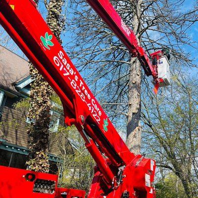 We reach out high with our Spider Lift