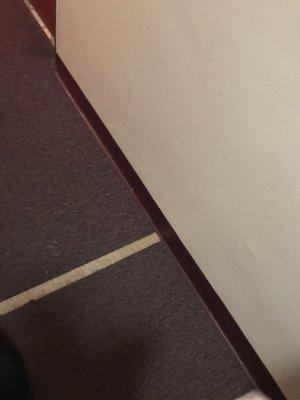 Ripping carpet in hallway