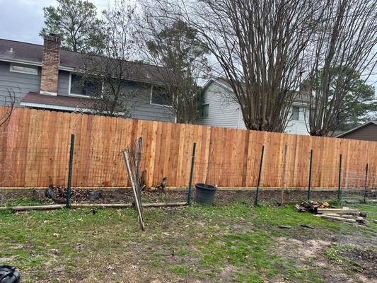 Cedar Fencing