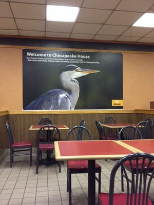 Picture of a Blue Heron in the eating area.