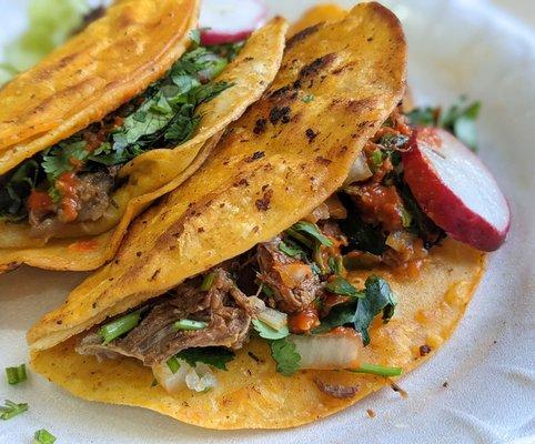 Barbacoa Taco, what most places call "Birria". Nice crunchy shell