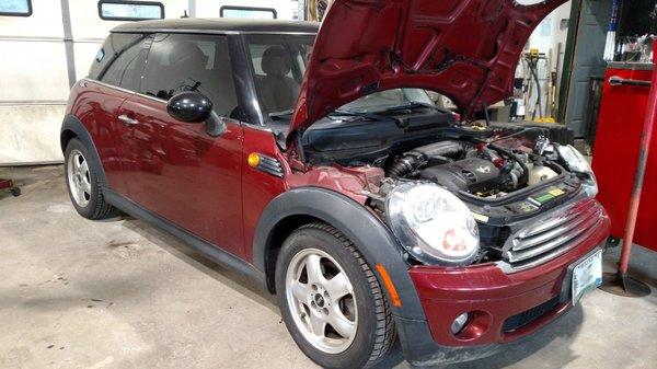 Regular service on this Mini Cooper. We service all sorts of makes and models.