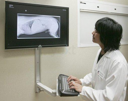 Digital X-ray System.