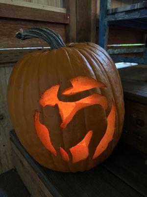 Annual pumpkin carving