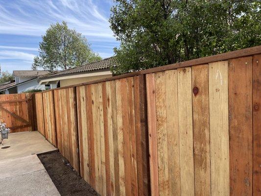 New fence