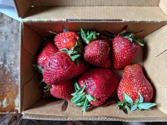 Basket of strawberries, shelter in place