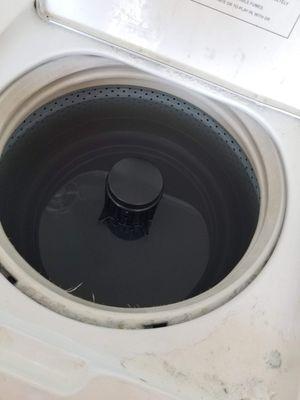 Forty staggnet water in washing machines, the ones that are empty  leave clothes smelling like mildew