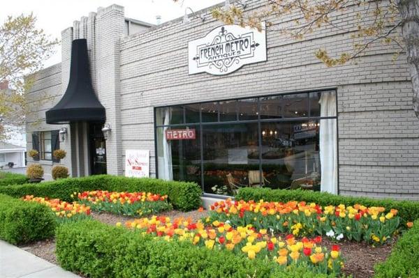 Two thousands tulips at French Metro on Dickson Street.