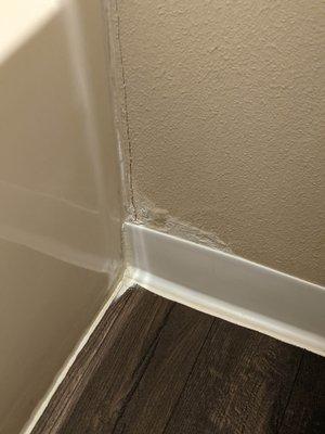 Mold/mildew and wear in bathroom.